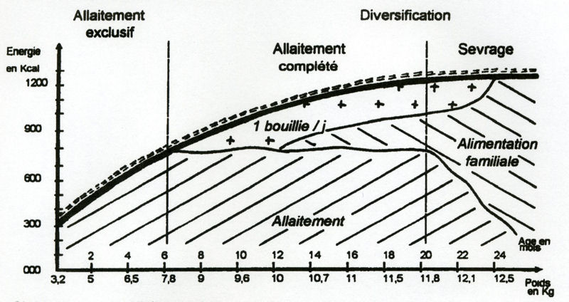 allaitement